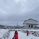 파니퍼니홈 이미지