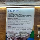 까치골 | [용인 맛집] 지글지글 돌판에 굽는 오리고기 끝판왕! '까치골오리돌구이' 후기 🦆🔥