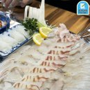 부평농협로터리 | [인천/부평] 제철 횟집 자연산광어 맛집 오징어회...스끼다시가 잘 나오는 &#34;총각네 회포차&#34; 내돈내산 후기