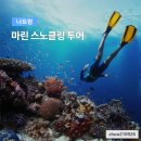 마린투어