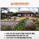 수펜션민박 티스토리
