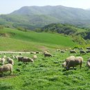 이오목장 이미지