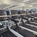 신사 라이크짐 | 신사 헬스장 찾는다면, 분위기 좋은 신사 라이크짐 1호점 후기