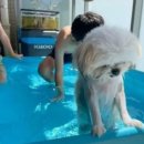 세라유치원 이미지