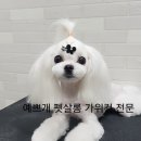 예쁘개펫살롱 이미지
