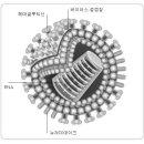 신종플루 대처요령
