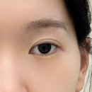 아산밸리로+아산밸리남로 | [아산속눈썹 펌] 더이지뷰티랩 펌+LED 연장으로 또렷한 눈매 완성(유지력 갑!)