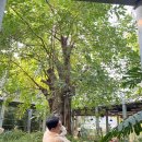 화성 바오밥식물원 베이커리 대형 카페 아기랑 잉어 먹이체험 재방문 내돈내산 후기