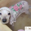 지누동물병원 이미지