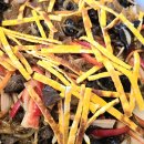 첼로병원 이미지