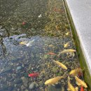 (주)명성카라인 | 북촌 아이랑 친구랑 점심 저녁 맛집 내돈내산 후기