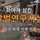 의성군 "말벌연구시설"이 화마가 삼키다!! 이미지