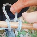 능굴농장 Daum카페