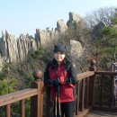 회경 Daum카페