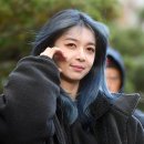 다미 이미지