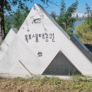 사문진교 이미지