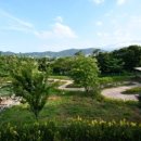 왕생로 40번길 이미지