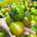 가남정보화마을 이미지