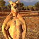 오주농장 이미지