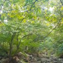 상원골 황토 민박 이미지