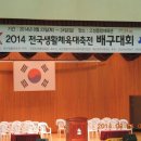 2014년 국민생활체육 대축전 배구대회 결과 이미지