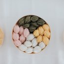 애니카프라자 이미지