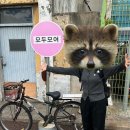 장전로(3-228) | 후회가 너무 많이 된다면 후회를 많이해서 없애버리자