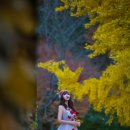 영천서원 이미지