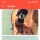 하이도기 이미지