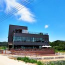 문경참미나리 미돈가 이미지