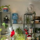 굿스터프(Good stuff) 이미지