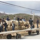 진광중학교 이미지