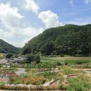 좌구산캠핑장 이미지