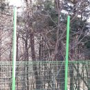 어린이축구장 네이버블로그