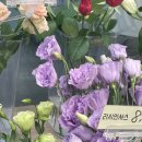 [성수 꽃집] 성수역 안에 있는 꽃집 : 호랭이 꽃집 솔직후기 - 꽃다발이 필요한 순간엔?💐