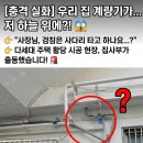 집수리전문가집사부
