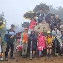 시간속의 추억 이미지