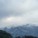 토옥동 송어 횟집 | 토옥동 송어횟집