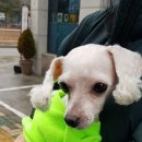 남여울2길 이미지