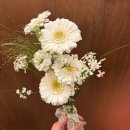 인플라워 | 창원 중앙동, 플라워카페 인시즌 미니 부케 후기