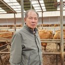 서울경기한우협동조합 이미지