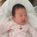 피오니스튜디오 이미지