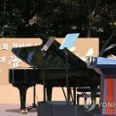 양반네 이미지