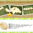 유메아리