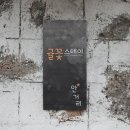 귤꽃스테이 이미지