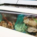 군산 은모래해물탕.아구찜 이미지