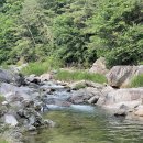 금방아민박캠핑장 이미지