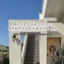 월령소라스테이 네이버블로그