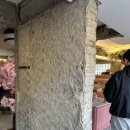 채널 트웰브 이미지