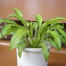 거목산장 이미지